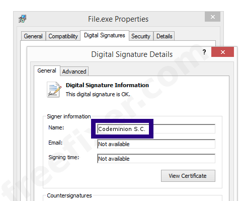 Screenshot of the Codeminion S.C. certificate